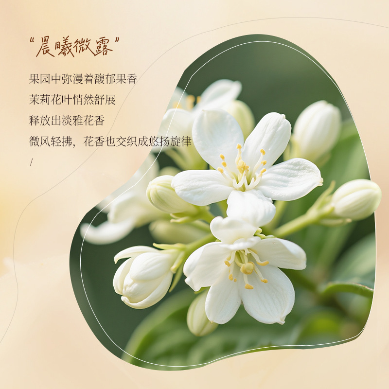 Cocoa fragrance perfume amino  - Perfume Fragrance Shampoo のレビューと価格