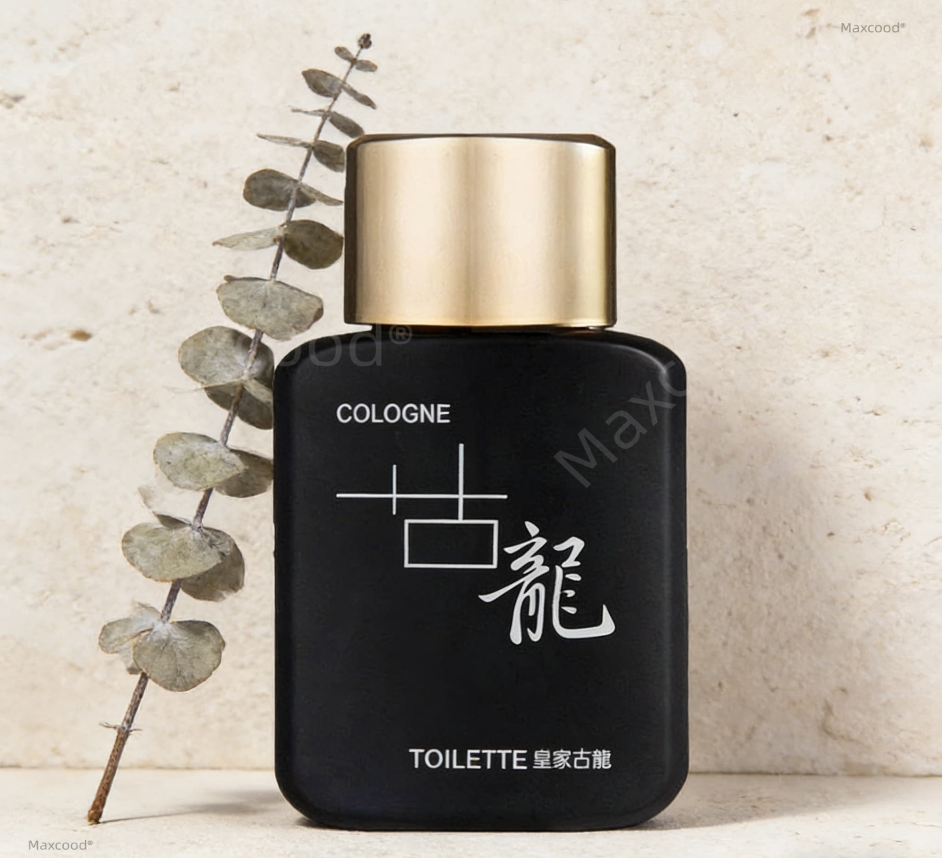  Men Perfume 1.69oz/50ml Flora - Perfume Floral Fragrance のレビューと価格