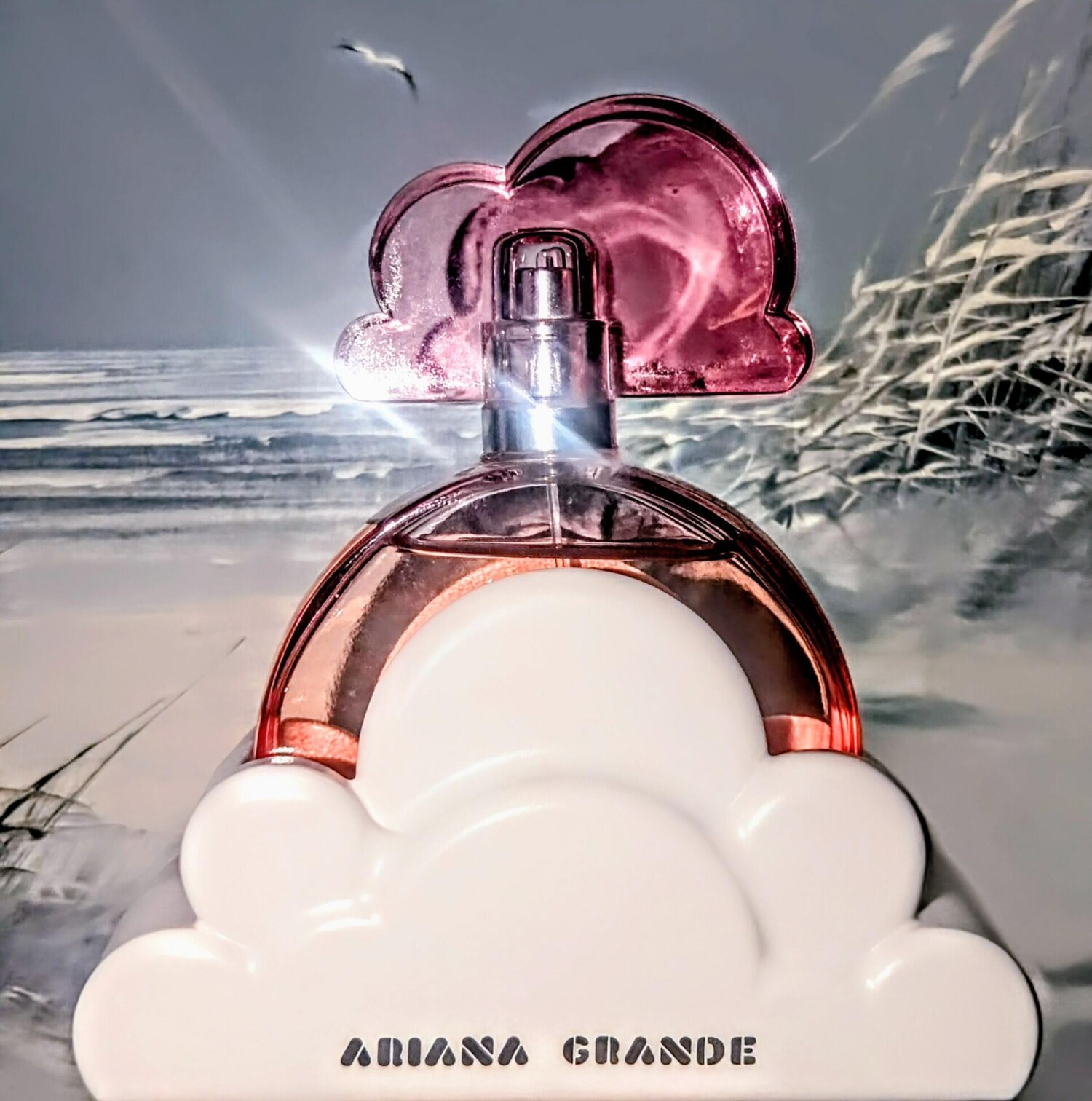 Ariana Grande Perfume for Wome - Musk White Oil のレビューと価格